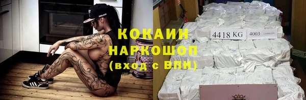 МДПВ Пересвет