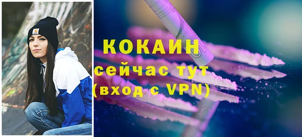 МДПВ Пересвет