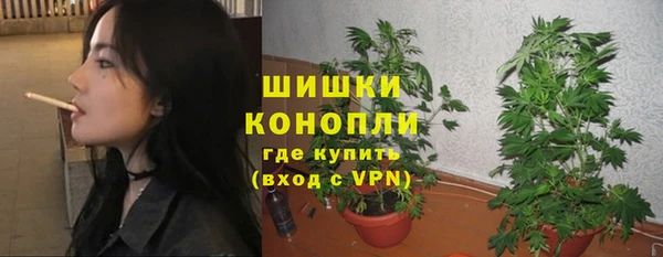 МДПВ Пересвет