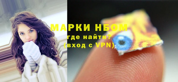 МДПВ Пересвет