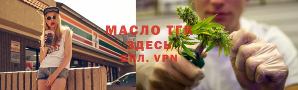 МДПВ Пересвет
