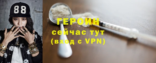 МДПВ Пересвет