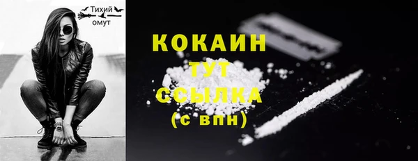 МДПВ Пересвет