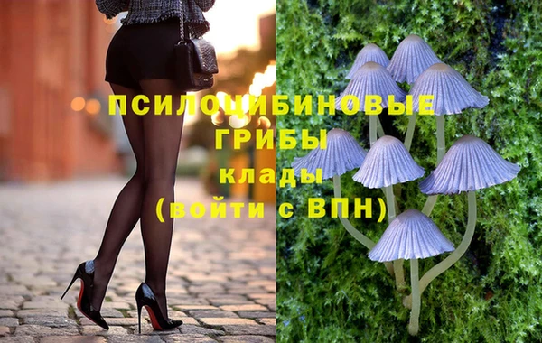 spice Семикаракорск